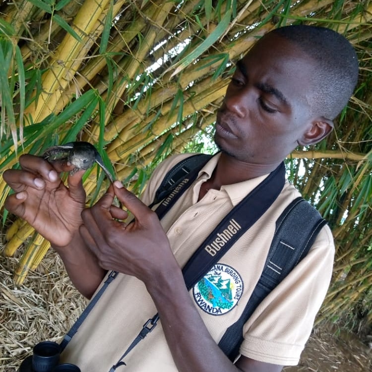 Birding at Akagera river