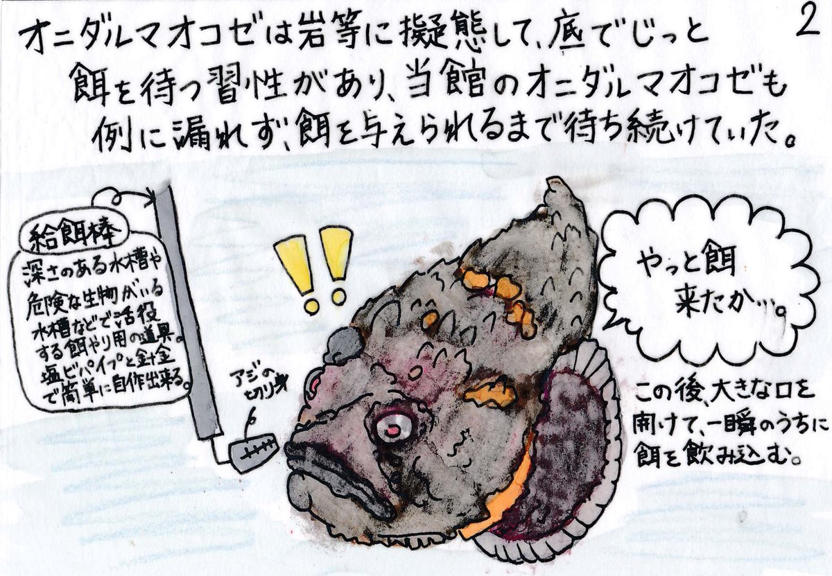 すさみ町立エビとカニの水族館 そう言って頂けると助かります 描くのに苦労したので 力作は力作です 笑