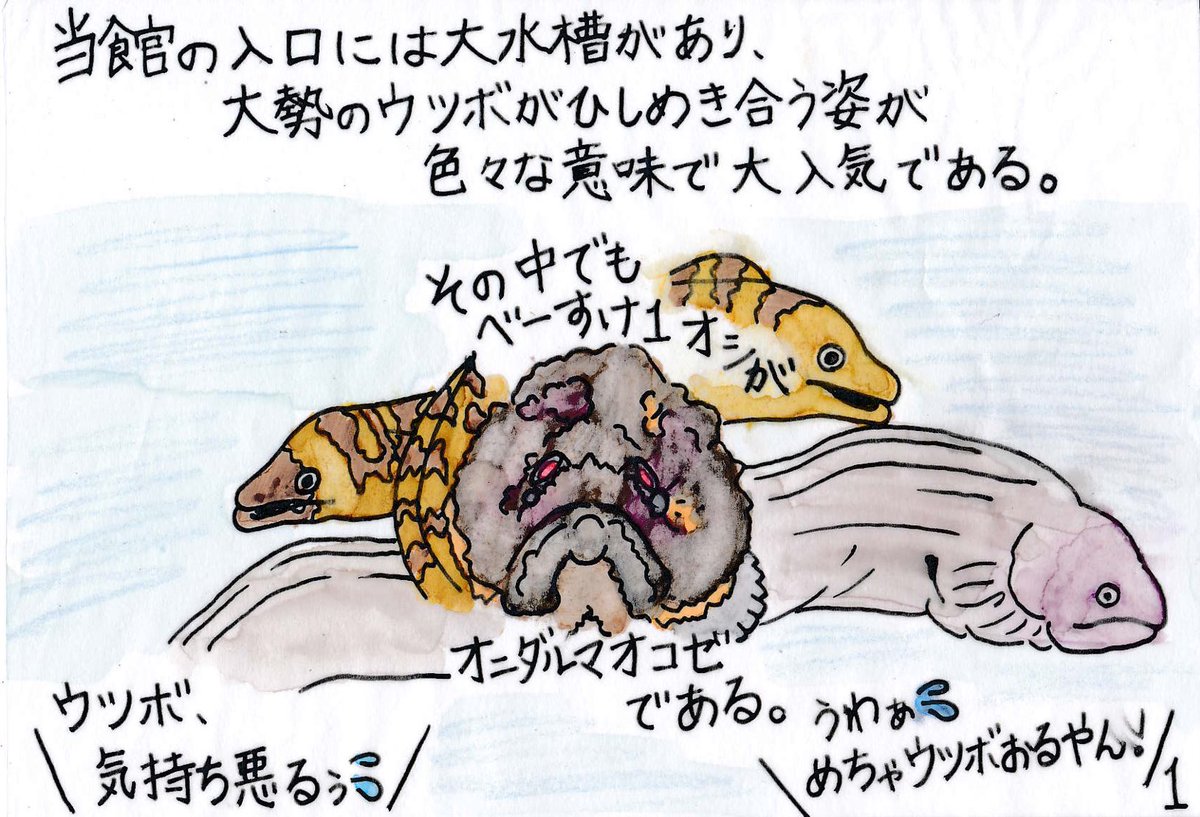 すさみ町立エビとカニの水族館 そう言って頂けると助かります 描くのに苦労したので 力作は力作です 笑