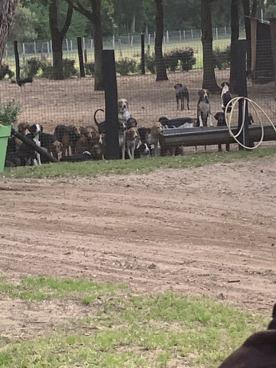 TouronEric's tweet photo. Rdv dès 6h avec nos amis chasseurs respectueux de l’environnement et de la biodiversité. Ils ne sont pas des ennemis de la nature , bien au contraire . C’est la ruralité soutenue par ⁦@C_MORANCAIS⁩ ⁦@LeChasseurFr⁩ ⁦⁦@isabelleleroy4⁩ ⁦@EricGrelier⁩ https://t.co/IxHj1SarMg