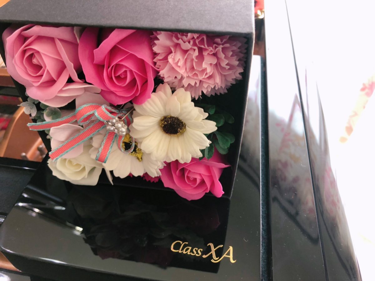 SuganamiKyodo's tweet photo. お気に入りです🥰☘️
#スガナミ楽器 #スガナミ楽器経堂店 #c3xa #classxa #グランドピアノ #中古グランドピアノ #ピアノ #ピアノ好きな人と繋がりたい https://t.co/mfRRFSazUx