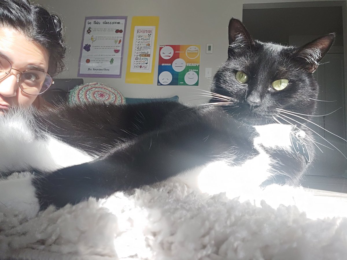coachkazarian's tweet photo. My #FavoriteSpot for reflection is next to my cat, Winston! He listens to my daily recollection of events and always reassures me that tomorrow is a new day full of opportunities.
#OPENAllWeek https://t.co/xJclEohL1W