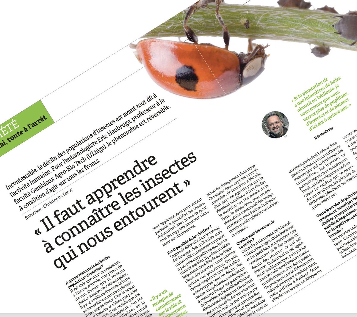 En vous baladant, observez d'un peu plus près les "bêtes à bon Dieu". Notre "Coccinelle à deux points", indigène, a presque disparue de notre environnement...
Je livre mon point de vue sur le déclin des populations d'insectes dans <a href="/LeVif/">Le Vif</a>
<a href="/UniversiteLiege/">Université de Liège</a> <a href="/AgroBioTech/">Gembloux Agro-Bio Tech</a>  <a href="/CH_Leroy/">Christophe Leroy</a>