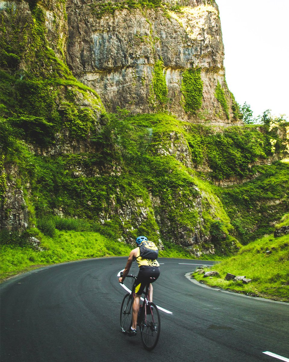 PedalTripr tweet media