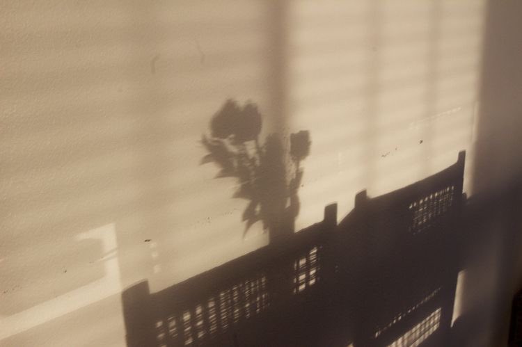 “Bağlılığın, özverinin ve doğruluğun değerini bilen yürekli insanlarla anlaşmak iyidir.”