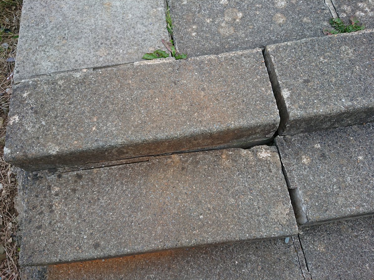bekigreen's tweet photo. @cardiffcouncil would someone be able to take a look at the second row of steps on Yewtree Close? They seem to be splitting from the middle https://t.co/0n7csKRzl8