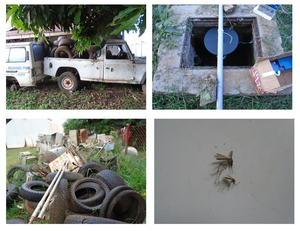 ZoonoticDisease's tweet photo. Man-made habitats at hospitals can enhance breeding of mosquitoes that carry emerging viruses. Read our latest collaborative paper @PLOSONE 

https://t.co/hLwHUMM8Rc

Led by @chiffchicharito with @icipe @ILRI @LivUni_IVES @UPTuks

Thanks @DAAD_Germany @ZELSprogramme @A4NH_CGIAR https://t.co/MPT1H6F4Ci