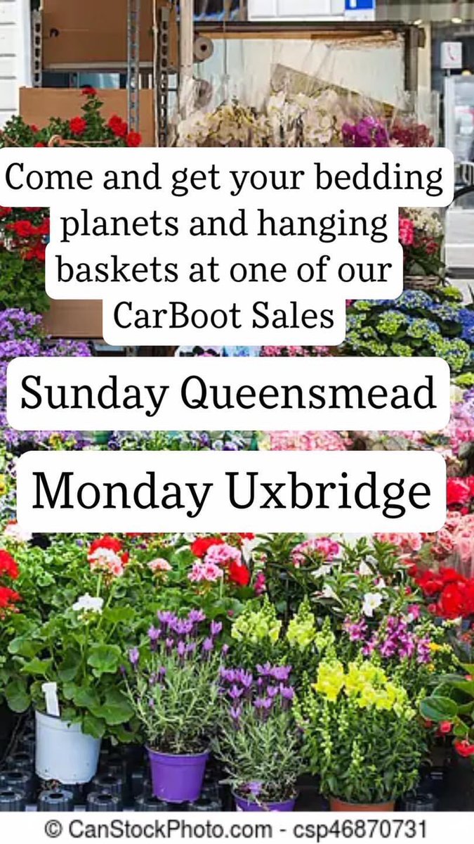 jon calver tweet media