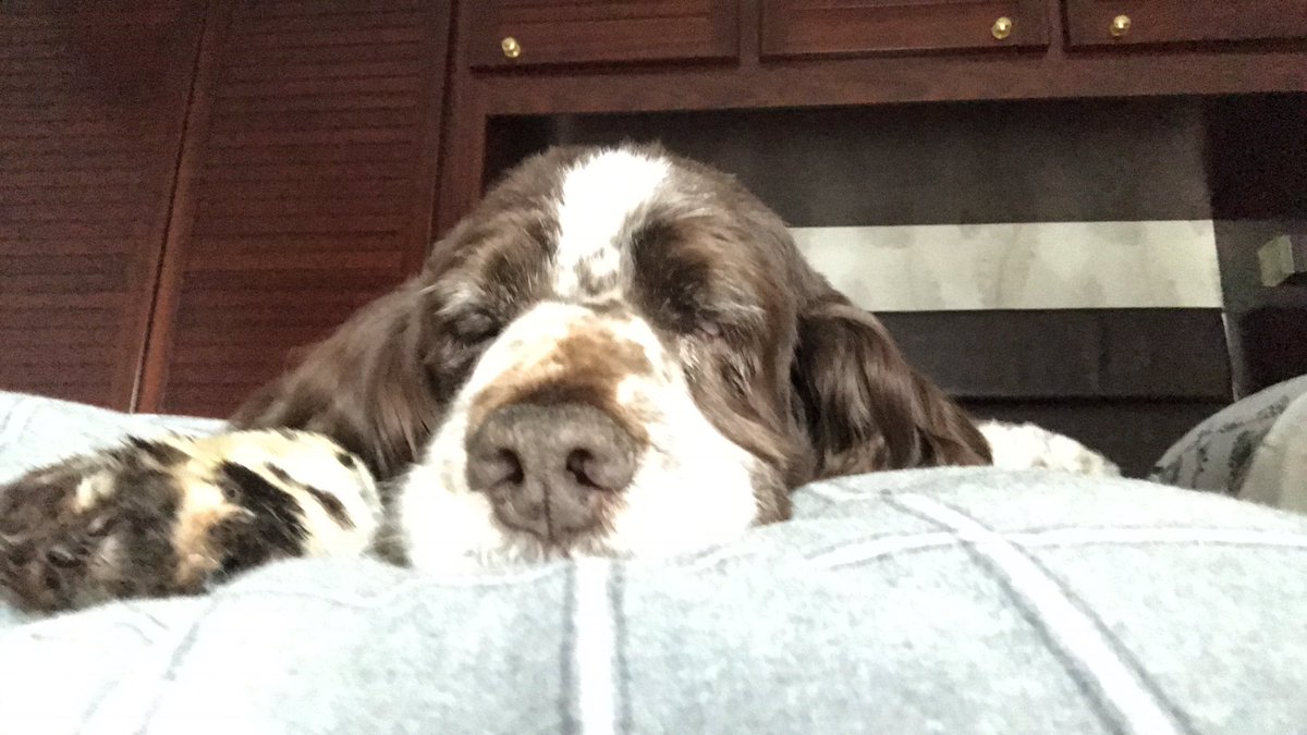 Andy AJ Johnson tweet media