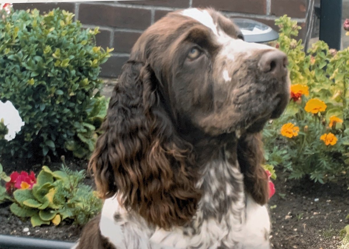 Andy AJ Johnson tweet media