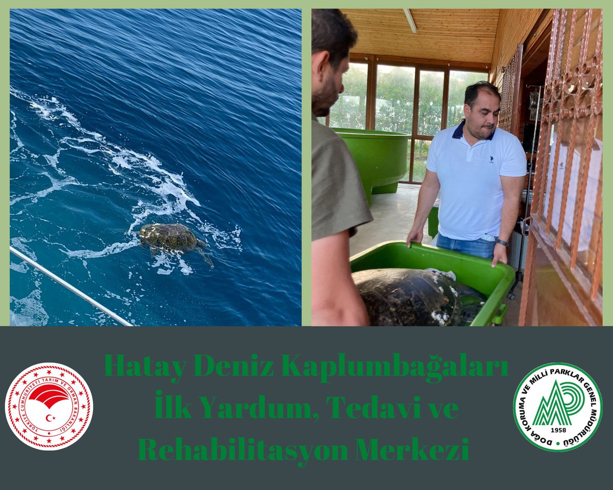 Hatay DKMP tweet media