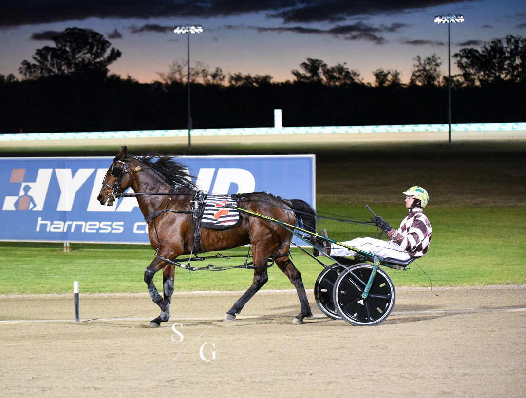 photographybysg's tweet photo. Race 2 at @CMTrackside goes to Rockin Marty
Trained by David Hewitt
Driven by @bradhewitt14 https://t.co/AMFIpcbiir