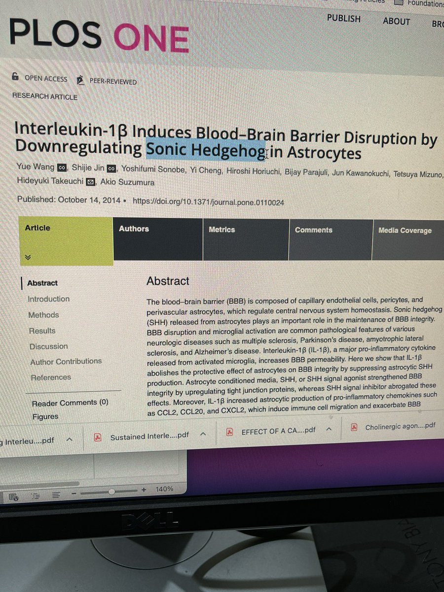 So Sonic Hedgehog is an actual, legitimate thing 🤯
Mind. Blown.