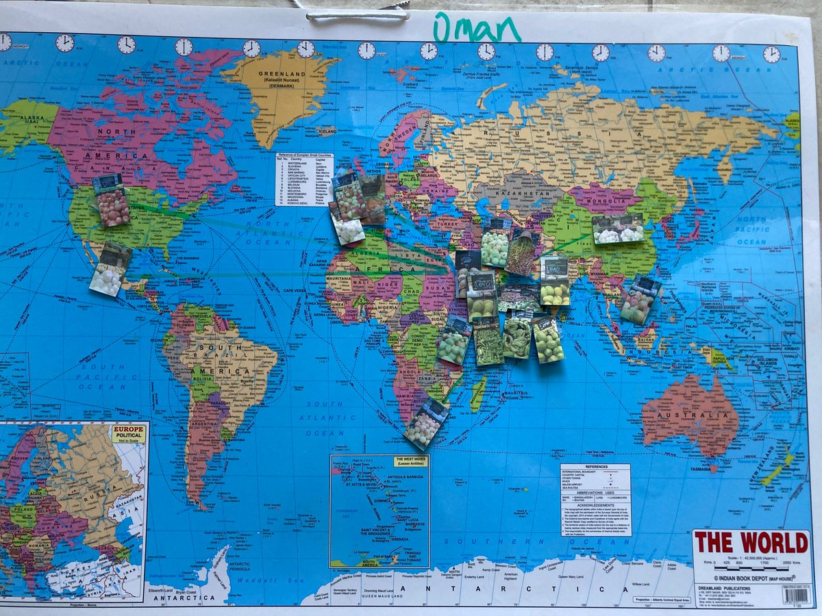 BSM Year 5 tweet media