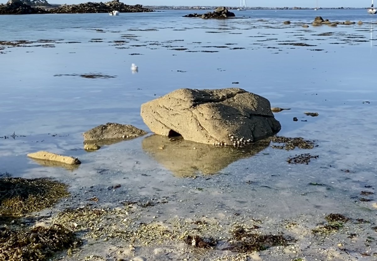 Jusqu’en avril, je planifiais les années civiles ;  puis les saisons. Ce furent bientôt plutôt les semaines. Ce ne sont plus désormais que les aubes naissantes que je verrai, émerveillé, bleuir. Cela en vaut pourtant toujours la peine.