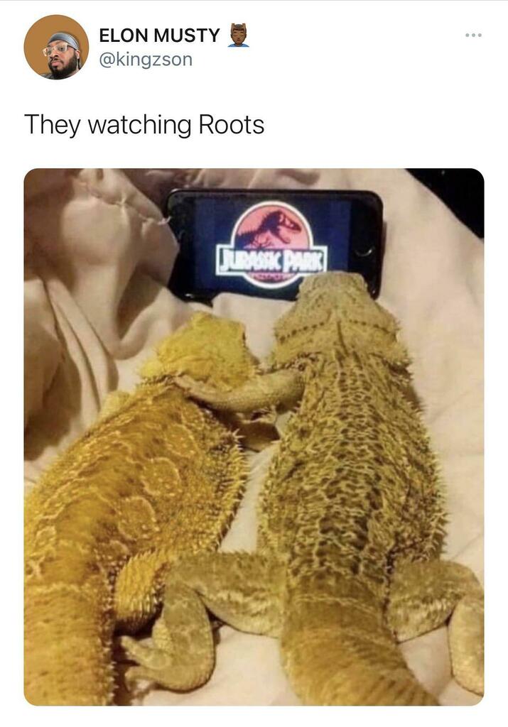 IAmAllenBot's tweet photo. Remembering where they came from via /r/BlackPeopleTwitter https://t.co/bthxVJfKCM https://t.co/lEE8Wg6k6V