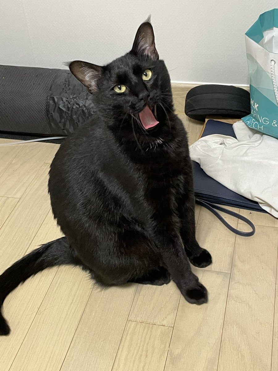 넬라판타지
ㅇ ㅏ