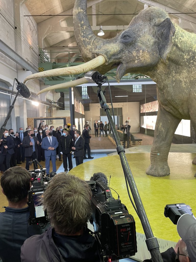 #Haseloff #Laschet vor dem größten Elefanten der Welt. Wahlkampf in #SachsenAnhalt Beschwörung der Urgesteine. Ob’s hilft? #ltwlsa wohl auch für die #CDU eine Woche vor der Wahl noch eine Riesenaufgabe.
