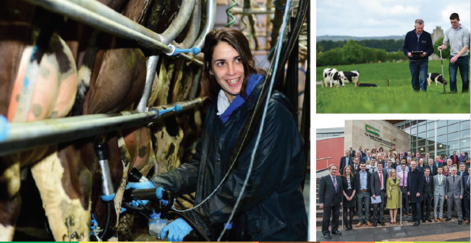 teagasc's tweet photo. Applications for the Teagasc Professional Diploma in Dairy Farm Management close on 4th June. It is aimed at those intending to manage commercial dairy farm units as an owner, partner or employed manager. More information &amp; apply here https://t.co/OZzoBrkH0D @EmmaLouiseCoffe https://t.co/0R54ByzDrE