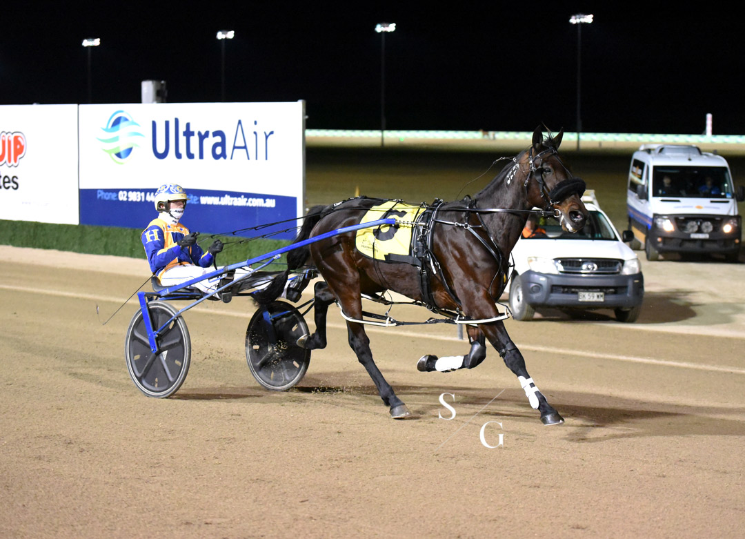 photographybysg's tweet photo. Race 3 goes the way of Yoha NZ
Trained by @GrimsonJason 
Driven by Cameron Hart https://t.co/g8v1H7L5JV
