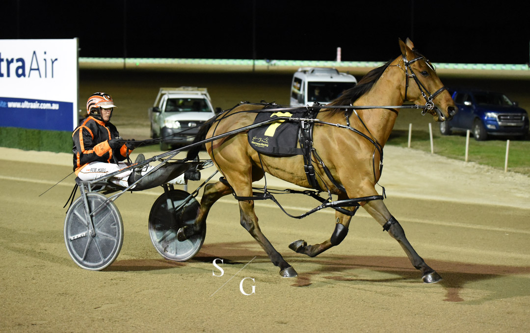 photographybysg's tweet photo. Race 3 goes the way of Yoha NZ
Trained by @GrimsonJason 
Driven by Cameron Hart https://t.co/g8v1H7L5JV