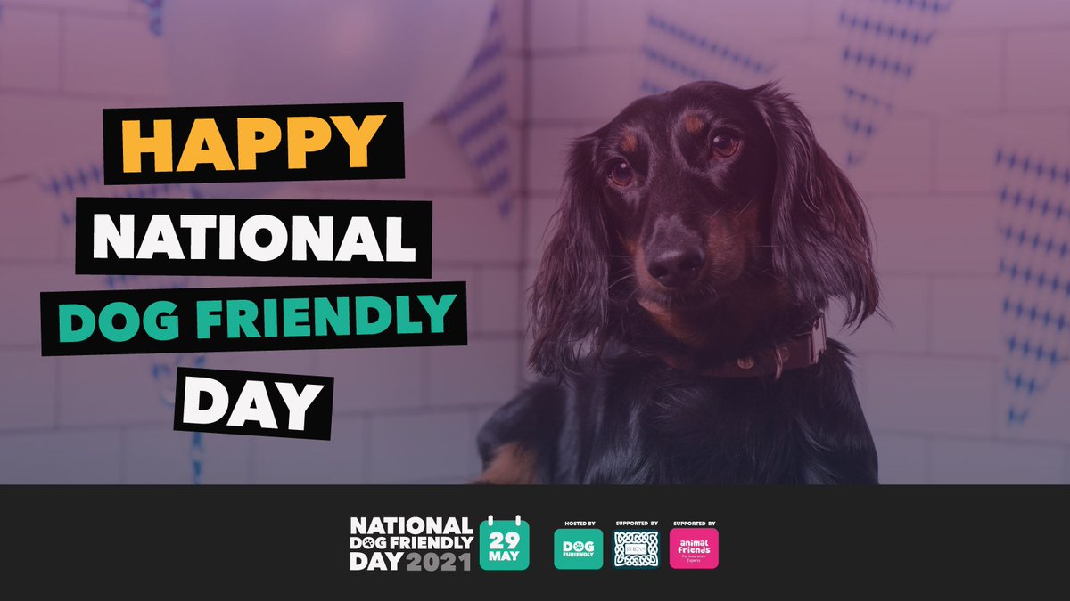 AdelePember's tweet image. Our tails are WAGGING today for #nationaldogfriendlyday and the launch of our brand new app @dogfuriendly. 😍 Get your paws involved, tweet us your favourite #dogfriendly places and download our app. 🤩