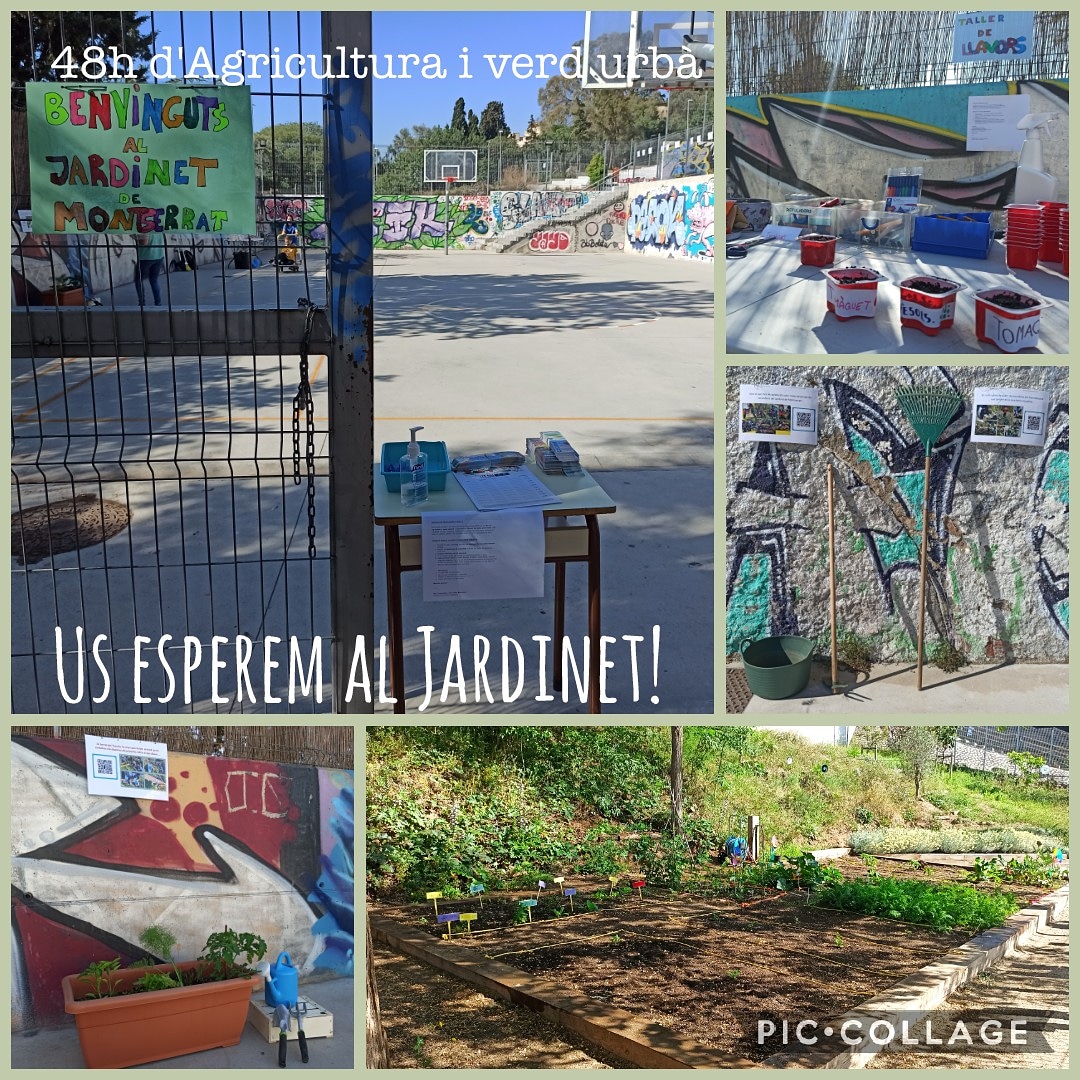 fepmontserratee's tweet photo. #Aramateix, obrim les portes del #jardinet per començar l'esdeveniment de les @48hagriculturaiverd urbà! Esteu #convidats a venir i gaudir de l'experiència, us esperem! 🥳
@bcn_hg @ecofep @48hagriculturaverdurba @bcn_ecologia @escolesFEP #SomFEP https://t.co/K3zrubRCn0