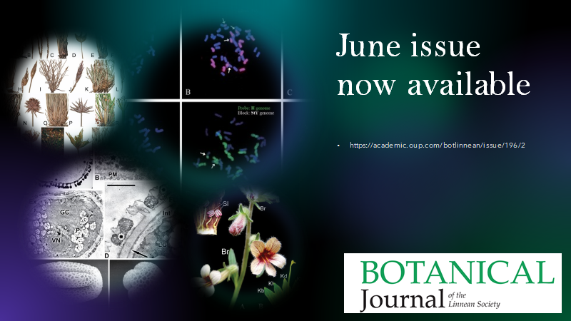 BotJLinnSoc's tweet photo. June issue @BotJLinnSoc now available, with papers about #Orobanchaceae (#Rehmannia), #Cyperaceae, #Chloranthaceae, #Poaceae and #Iridaceae. https://t.co/DkGSo9YiEZ https://t.co/feetFDwng0