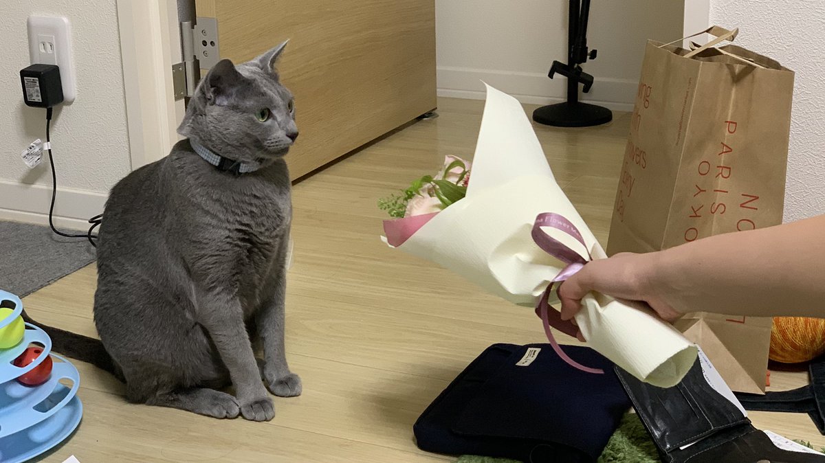 temikoneko's tweet photo. テミコ「おめでとう🎉」

#ラルクハピバ https://t.co/oxbvwljKUj