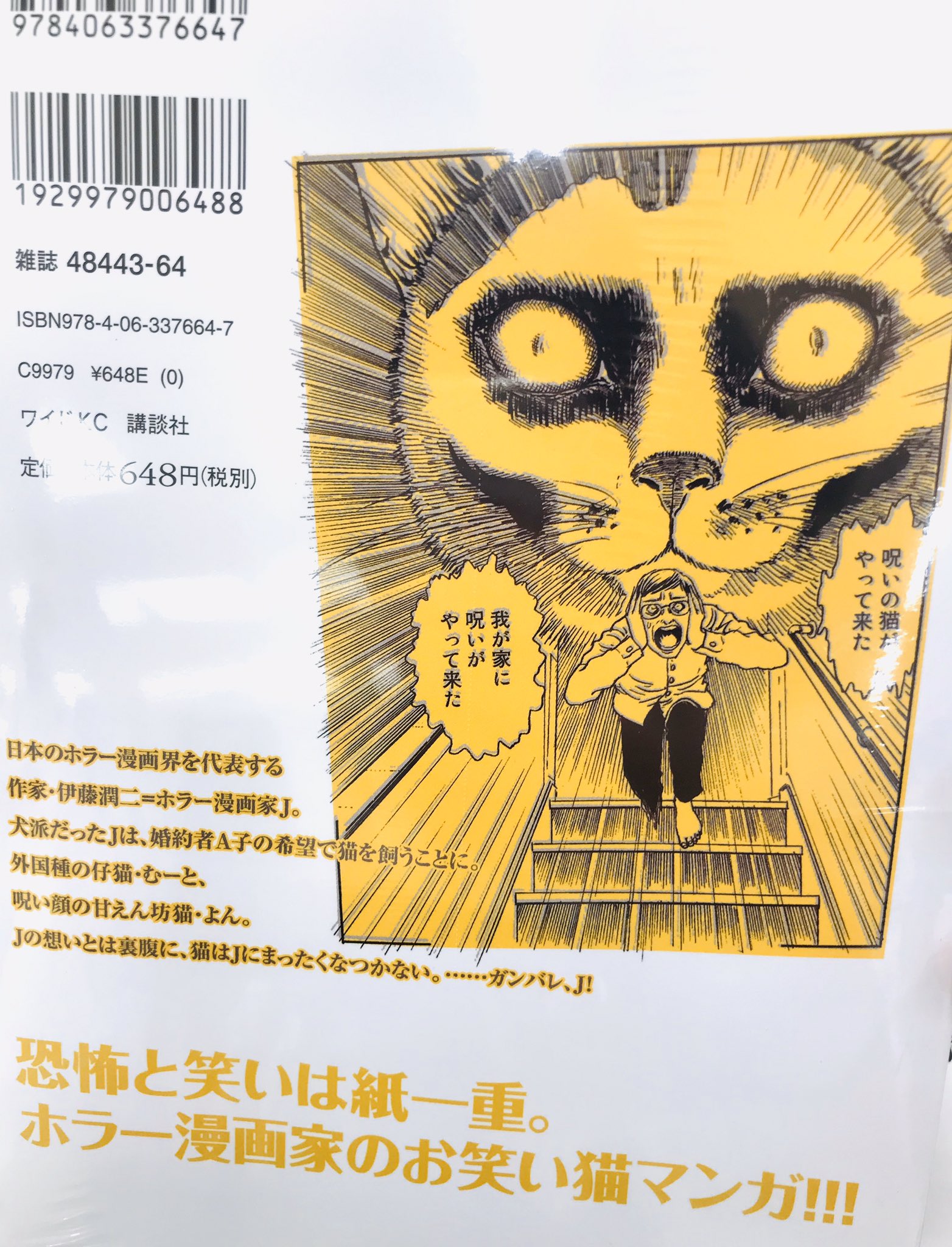 Maruzen ジュンク堂書店 新静岡店 ねこと家ごもりフェア こ これは ホラー漫画家 伊藤潤二先生の 伊藤潤二の猫日記 よん むー 講談社 じゃないか この裏表紙のねこ様の圧よ 潤二先生にかかれば 可愛い猫ちゃんも少し違って見えてくる かも