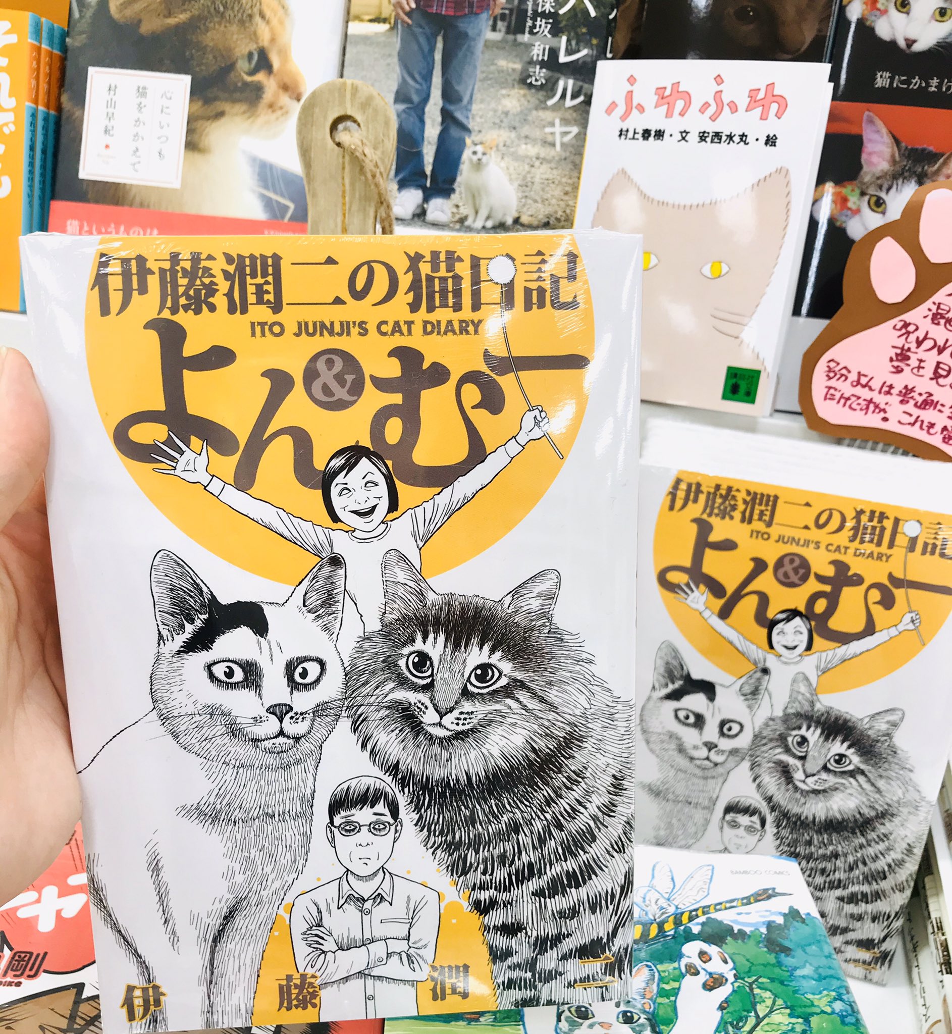 Maruzen ジュンク堂書店 新静岡店 ねこと家ごもりフェア こ これは ホラー漫画家 伊藤潤二先生の 伊藤潤二の猫日記 よん むー 講談社 じゃないか この裏表紙のねこ様の圧よ 潤二先生にかかれば 可愛い猫ちゃんも少し違って見えてくる かも