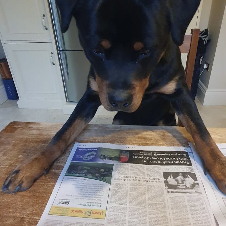 💦 Liquid Fertiliser 💦           🌱 the way to grow  🌱

Teddy reading our <a href="/OMEXCompanies/">OMEX</a> ad in the Irish examiner ☑️

For more information on how 💦 liquid 💦 fertiliser can benefit your farm 📞 Laura on 087-9713419

📷 Laura O Connell 
#southernfuels #liquidfertiliser #omex
