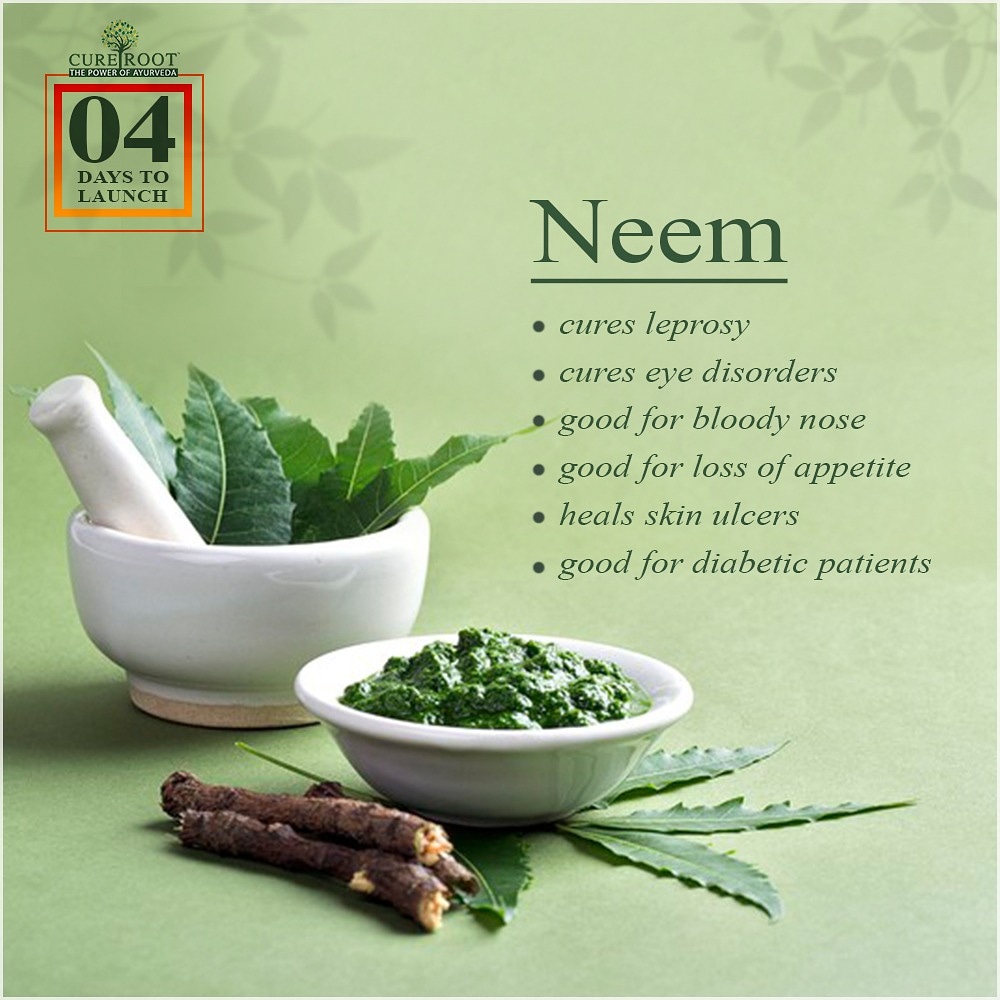 CureRoot's tweet photo. The anti-inflammatory properties of neem make it incredibly useful for intestinal health as it soothes the entire digestive system.
#NeemBenefits #Neem #Health #DigestiveHealth #Leprosy #EyeDisorder #BloodyNose #Appetite #SkinUlcer #Diabetes #ThePowerOfTheAyurveda #CureRoot https://t.co/KST8Jr7Tdp