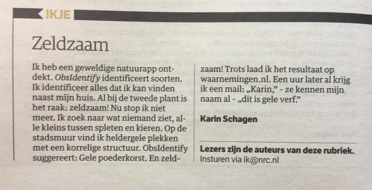 clijng's tweet photo. Vriendin Karin schreef een geweldig Ikje https://t.co/bifkGUVwnf