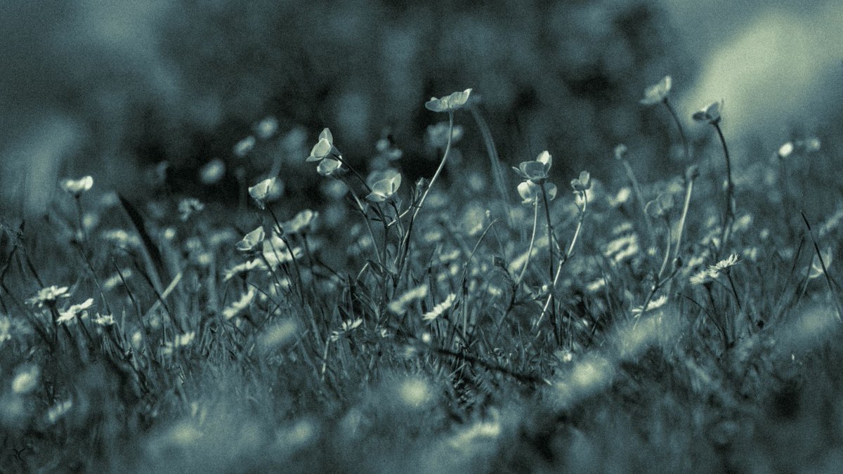 Regis CHUPIN (@chupinregis) on Twitter photo 