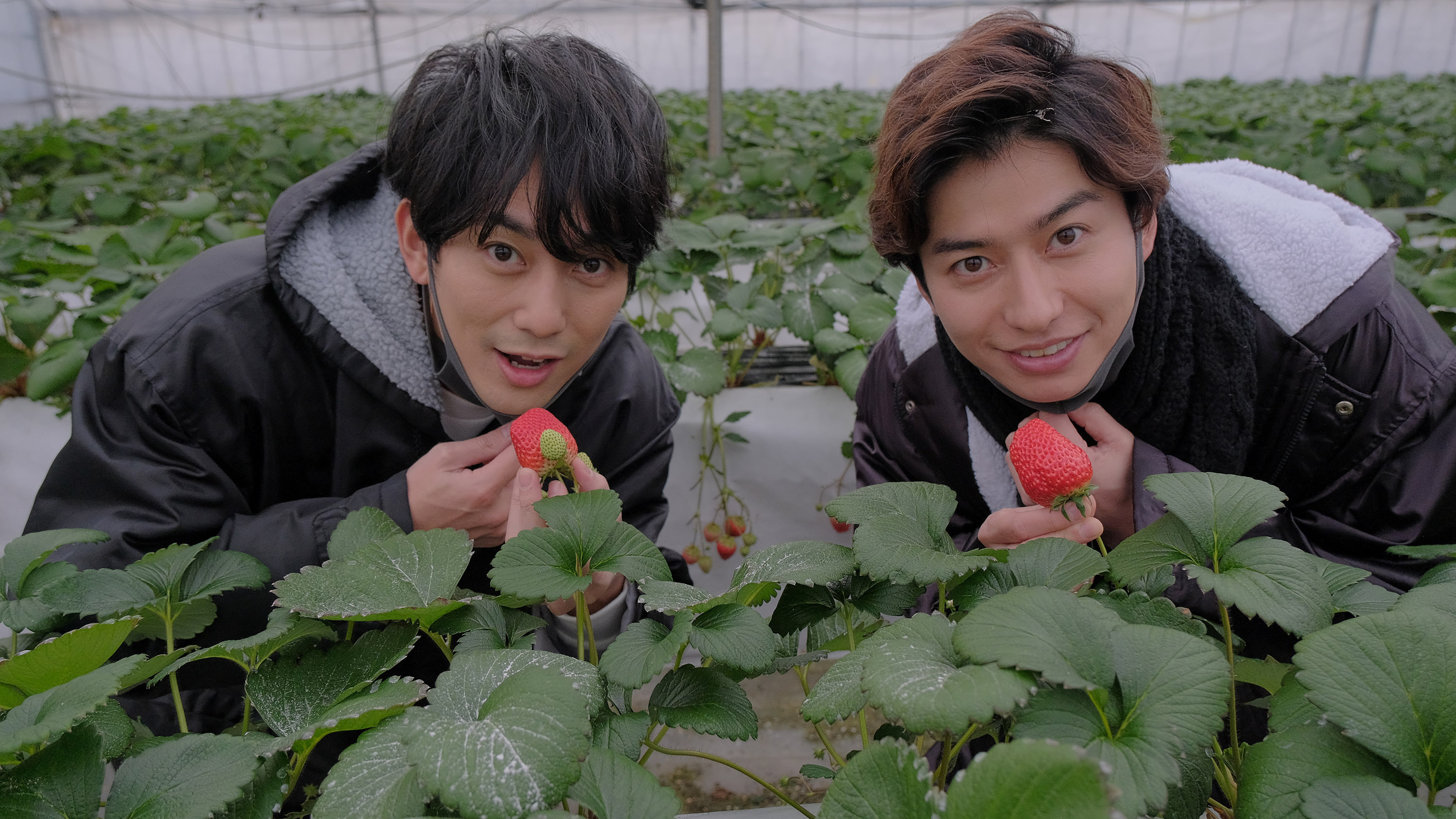 平岡祐太 Staff Hiraoka Staff Twitter