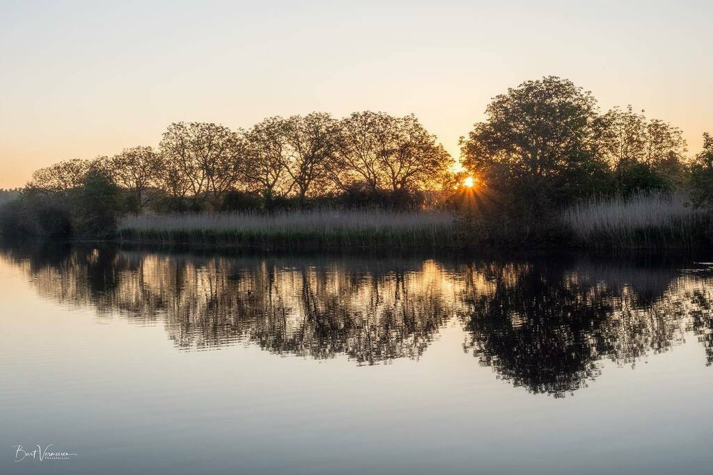 bart2525's tweet photo. ‘s Ochtens vroeg langs de oevers van de Oude Durme.
.
.
.
.
.
#landschapsfotografie #landschap #landschapsfoto #landscape #landscapephotography #landscape_lovers #naturelover #naturevibes #earthbeauty #naturewonder #oudedurme #durme #hamme #waasmunster … https://t.co/8uoi520ngI https://t.co/Dbzf3qdyk2
