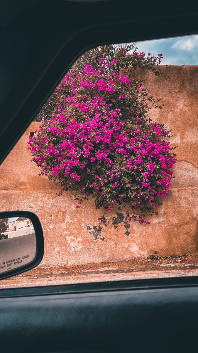 '
💐 ..
Be positive 👨🏻.