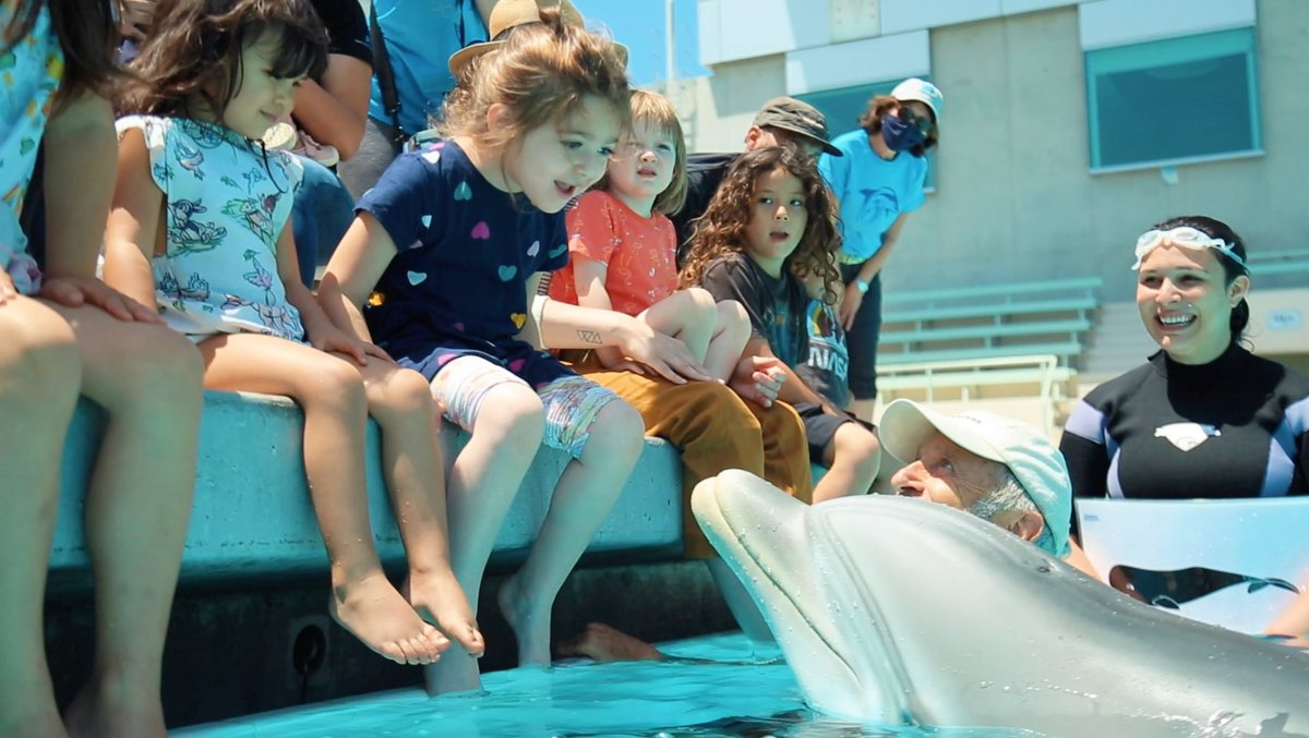 RogerHolzberg's tweet photo. #EdgeDolphinSpirit - Our quest to reimagine the marine park industry with a sustainable future just completed another very successful milestone! #MagicLives #SwimFree #Animatronics #Robotics #EdgeInnovations https://t.co/43NW7SKXl7