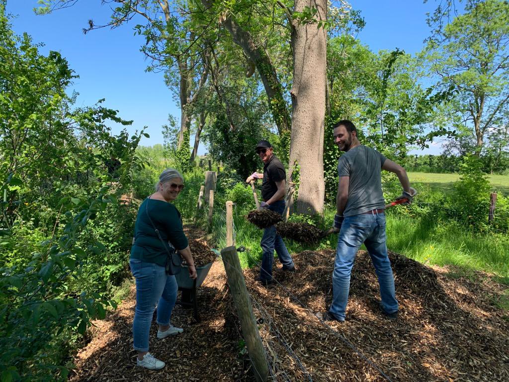 Jo-Annes de Bat tweet media