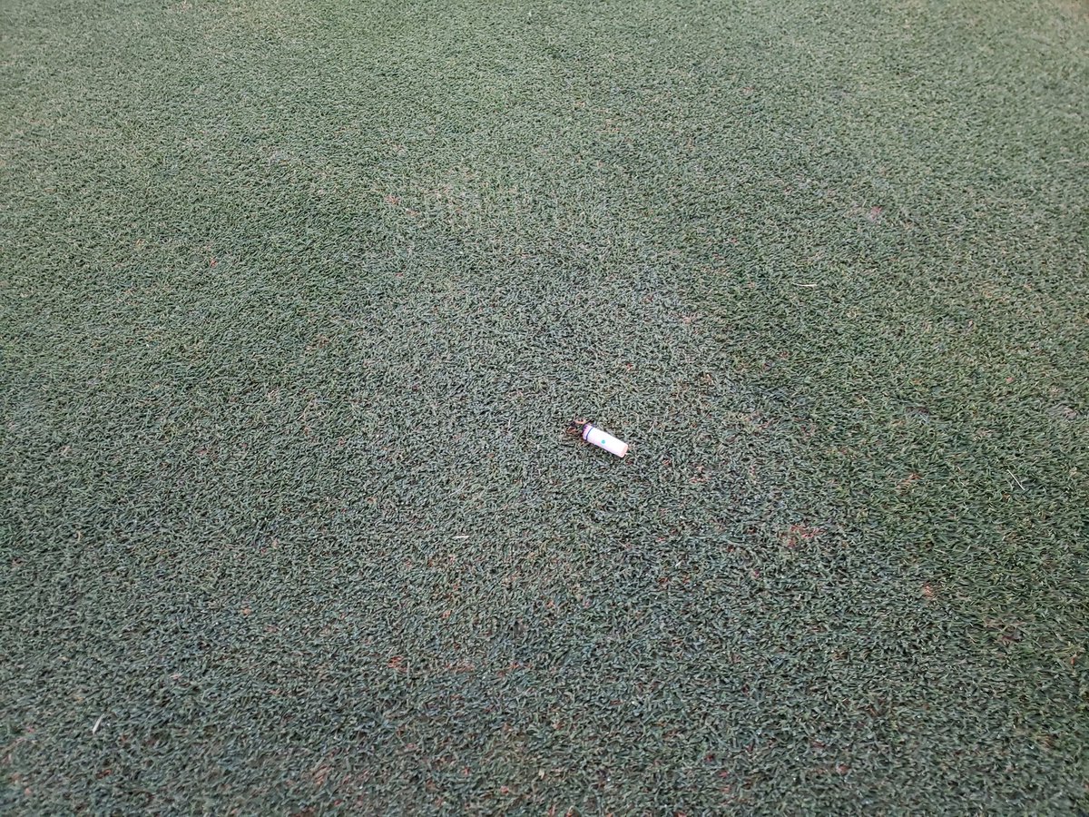 mikebdisupe's tweet photo. π‘ the only thing worse than sunflower and pistachio hulls on the greens... #respectthecourse #pigs https://t.co/RvqBUpZEh6