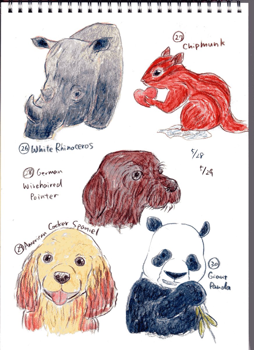 てんもんたまご 記事と絵をかきます 動物イラスト100匹マラソン 35匹 もう少しで折り返しだー 頑張れ私