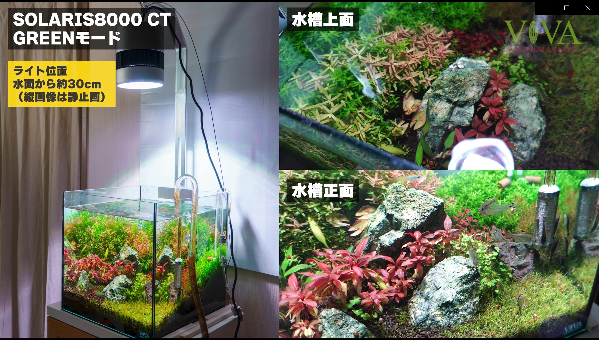 植物育成RGB LEDライト SOLARIS8000 CT