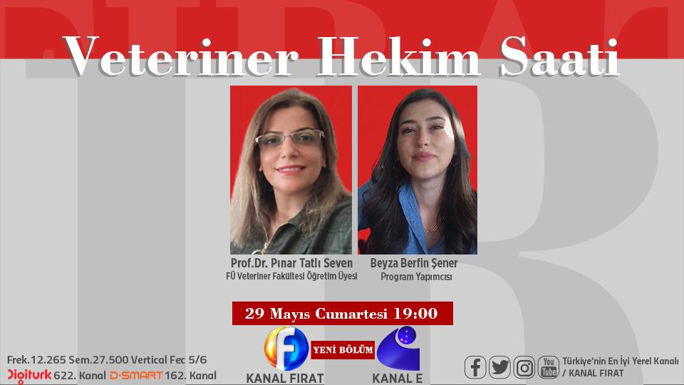elazigivsa's tweet photo. Kulüp danışmanımız Sayın @PinarTatliSeven hocamızın konuk olduğu, moderatörlüğünü fakültemizin öğrencilerden @berfiinsener'in yapacağı programa davetlisiniz. https://t.co/j8sU7TRa4Q