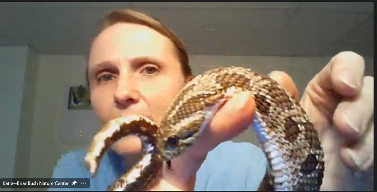 Rachel Stern tweet media