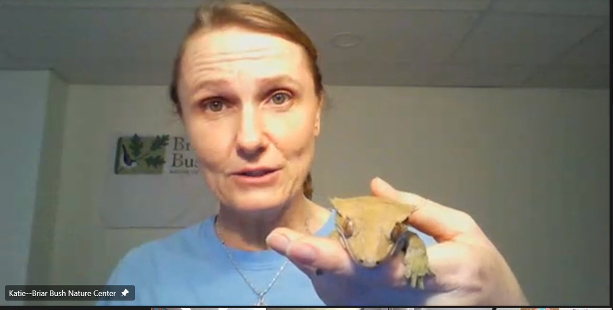 Rachel Stern tweet media