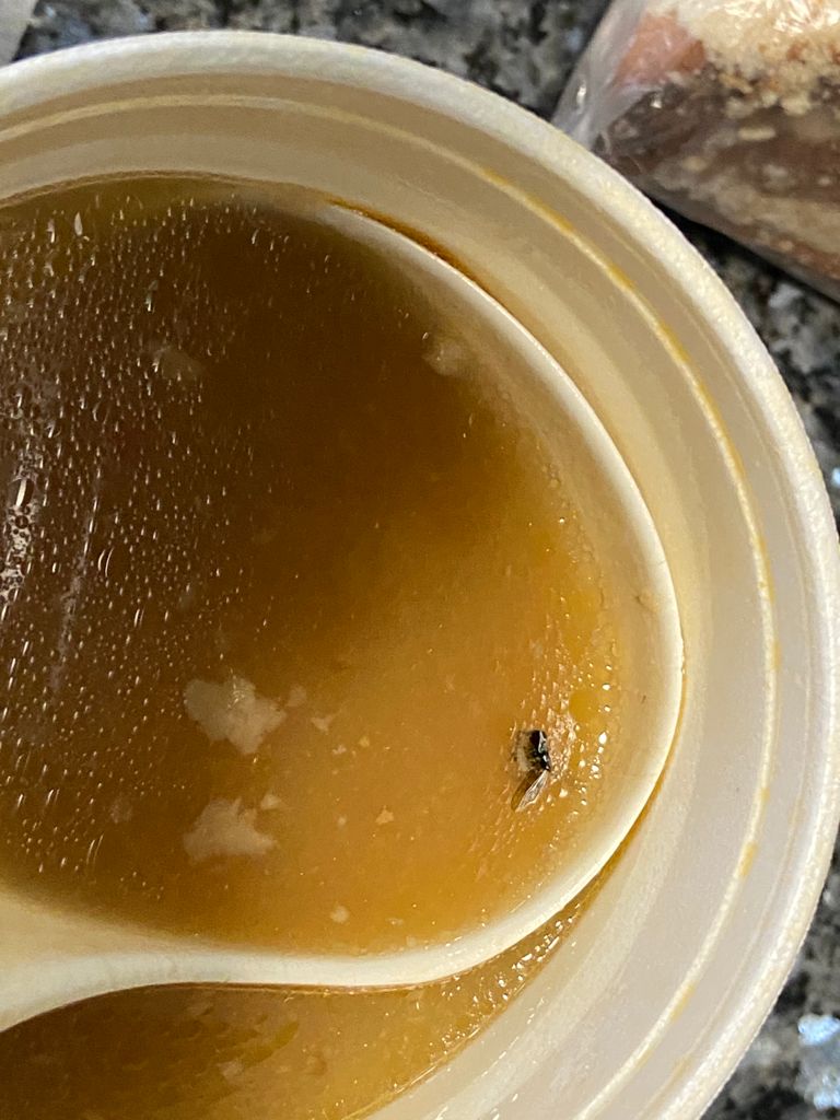 Manjiss's tweet photo. @Carnalito! Pasé a comer a la Sucursal de Toluca 1 y tambien les compré 1kg de barbacoa y 1 litro de consomé para llevar. Pero se les olvidó cobrarme la mosca! Con quién habrá que checar ese precio, con @Profeco? #LaMoscaEnLaSopa https://t.co/QJL1z7pLUN