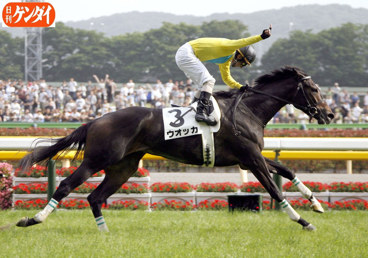 公式サイトの通販 日本ダービー 四位洋文サイン入り 名馬ウォッカ優勝