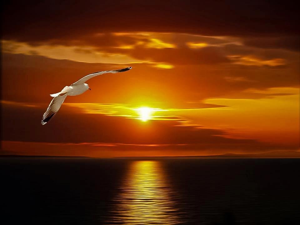 più voli in alto, più vedi lontano...