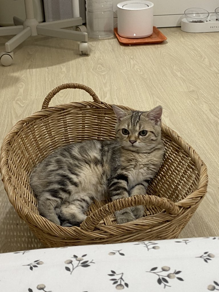 สีเดียวกับตะกร้าเลย